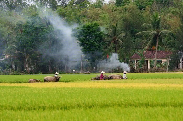 ĐẶC SẢN NHÂN GIAN